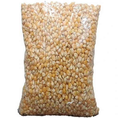 ذرت پاپ کورن اعلا محصول امسال 500 گرمی